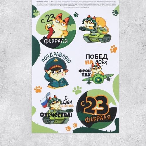 Наклейки «23 февраля», кот, 9*16см, лист Наклейки «23 февраля», кот, 9*16см, лист